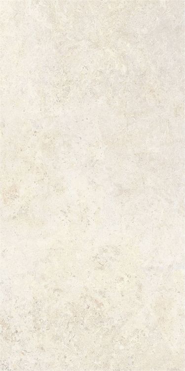 OL Limestone Avorio Matte 24 x 48